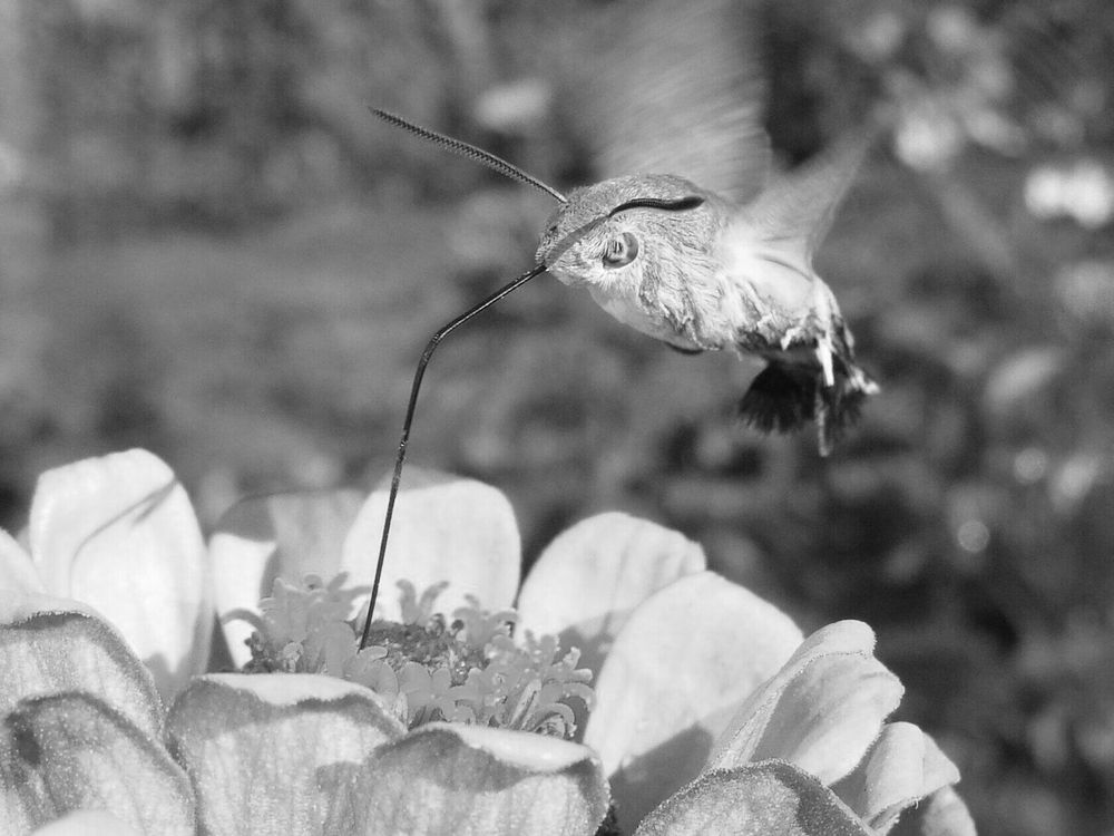 Фотография автора Павел Попов