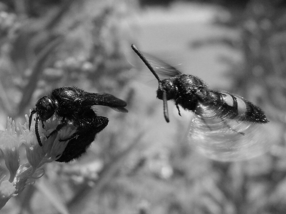 Фотография автора Павел Попов