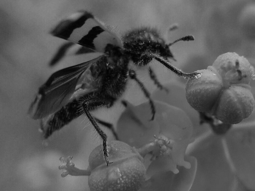 Фотография автора Павел Попов