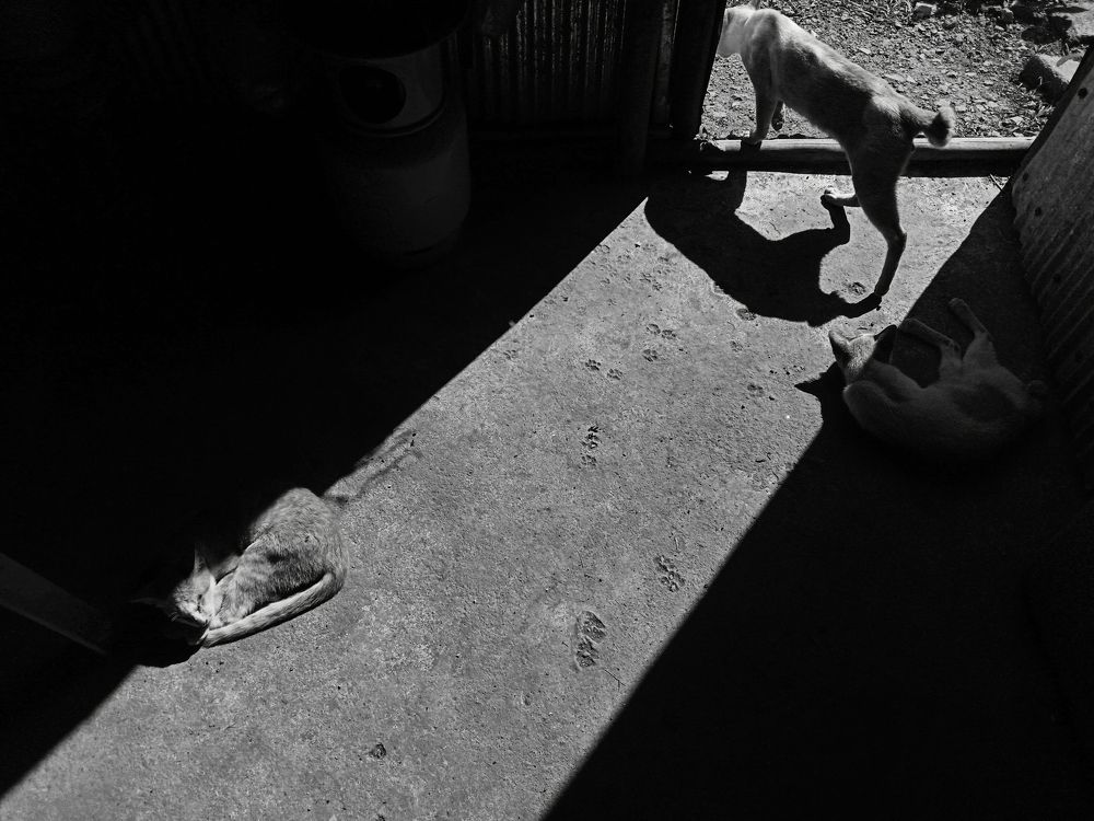 Photograph by Pheap Sophinh