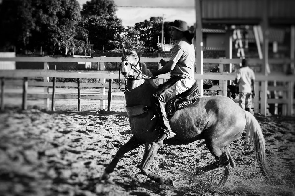 Brazilian cowboy