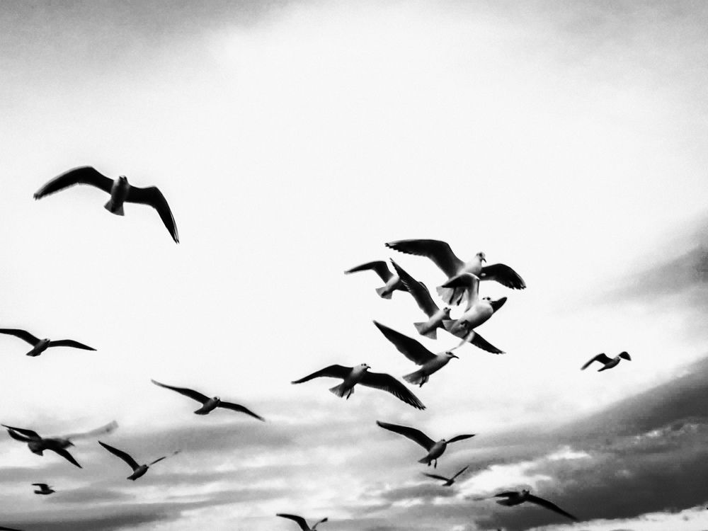 Photograph by Христина Сергейчик