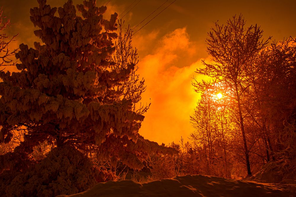 Photograph by Алексей Егоров