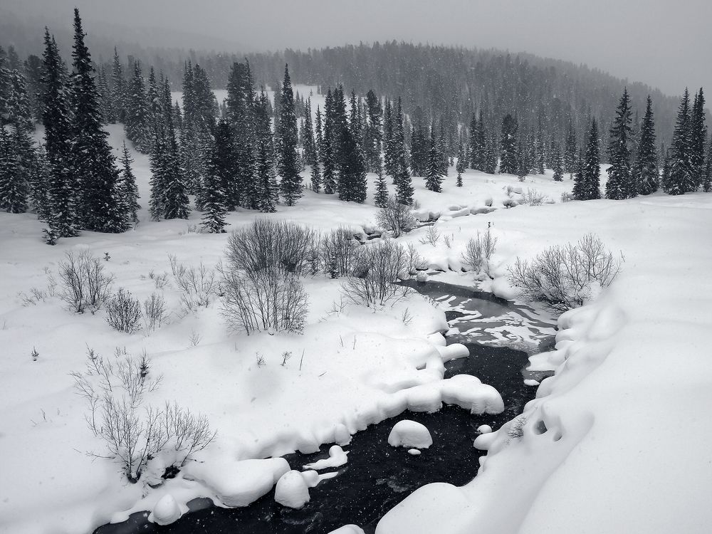 Photograph by Олег Тетерин