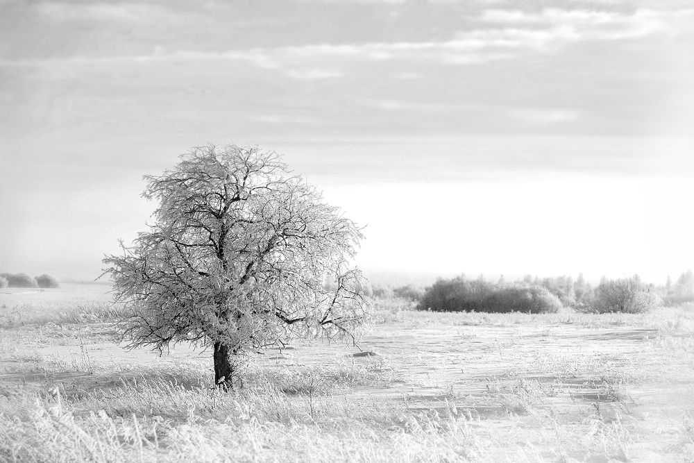 Фотография автора Александр Степочкин