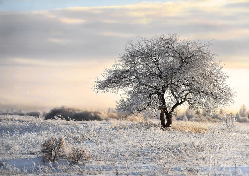 Photograph by Александр Степочкин