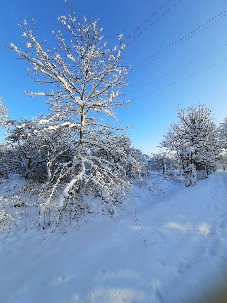 А вот и снег