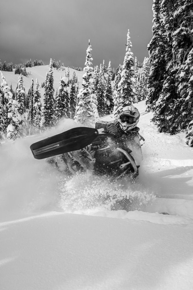 Photo #8512848