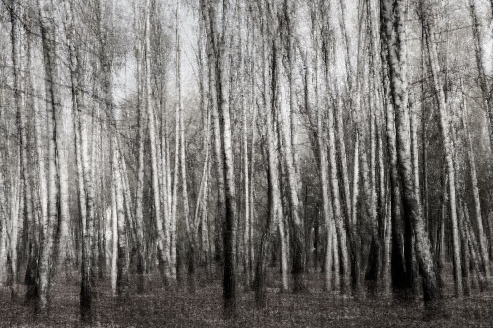 Фотография автора Вадим Коваленко