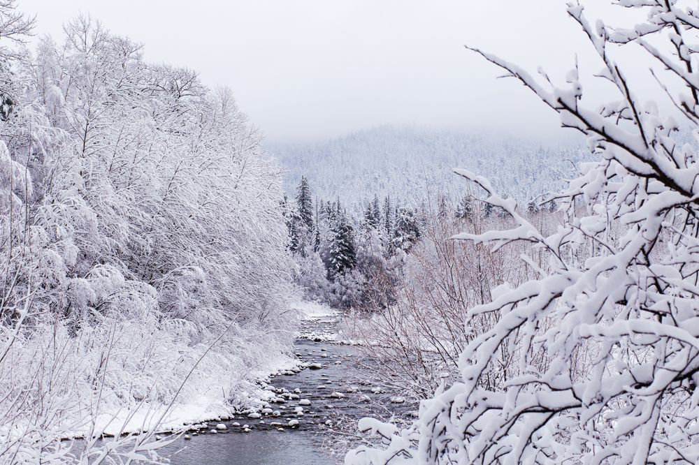 Фотография автора Оркина Ксения