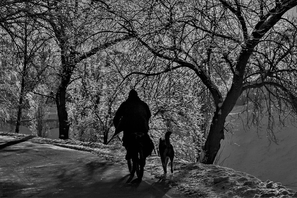 Отважный велосипедист