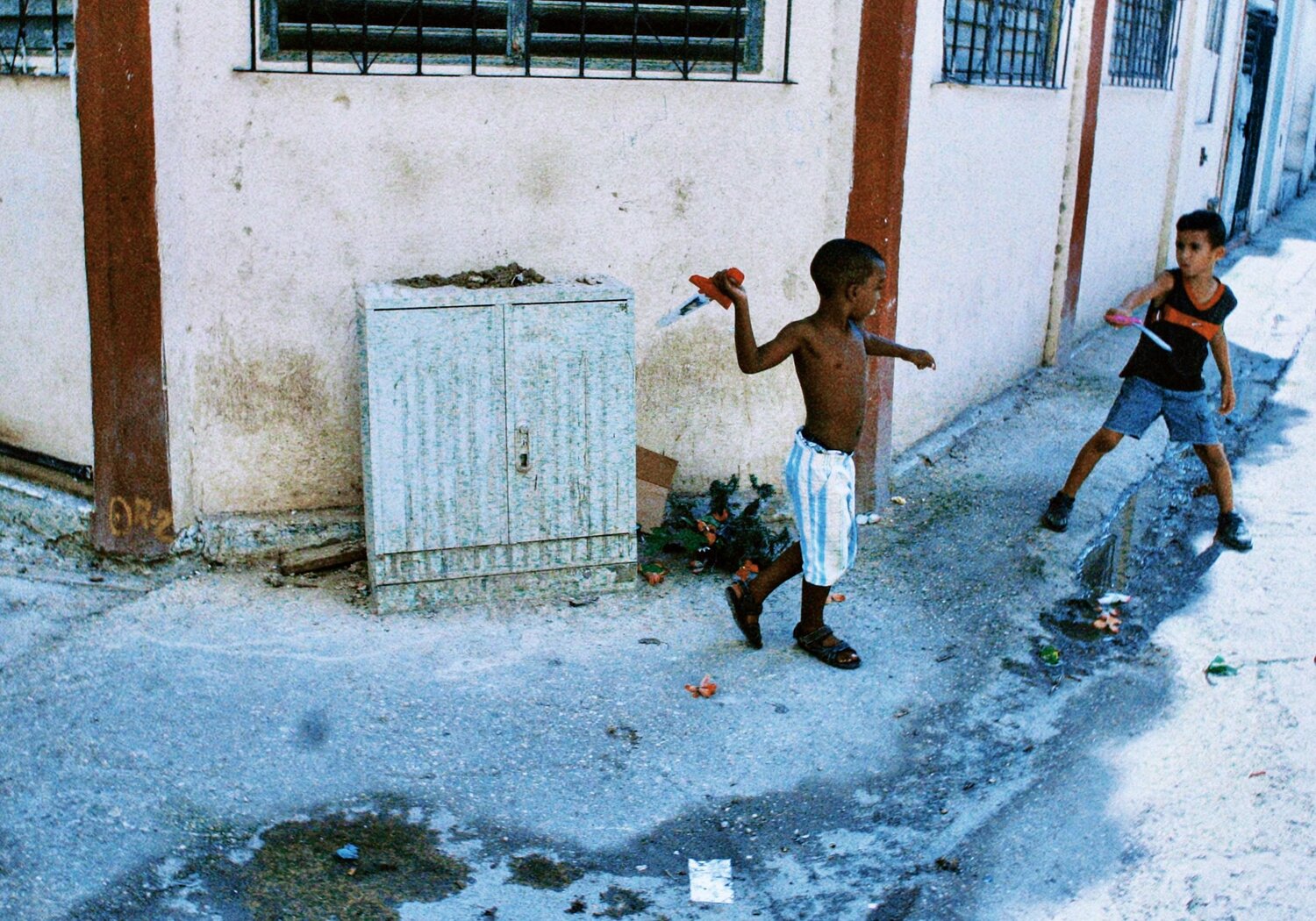 Photo #8512882