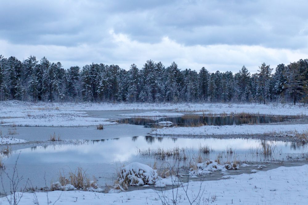 Фотография автора Оркина Ксения