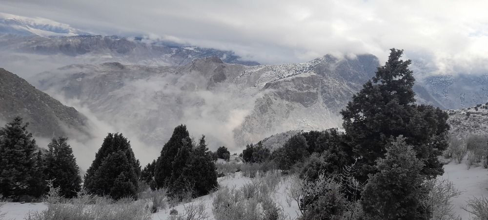 Photograph by Рустамбек Ахмадзода