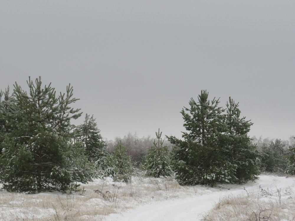 Photograph by Елена