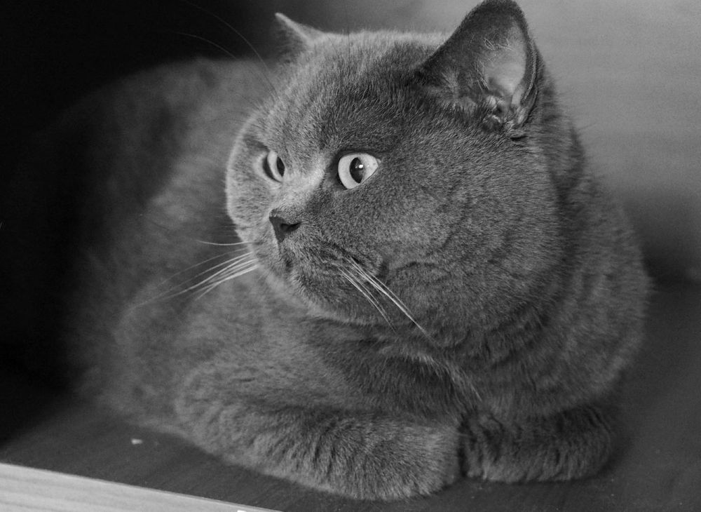 Photograph by Елена Харитонова