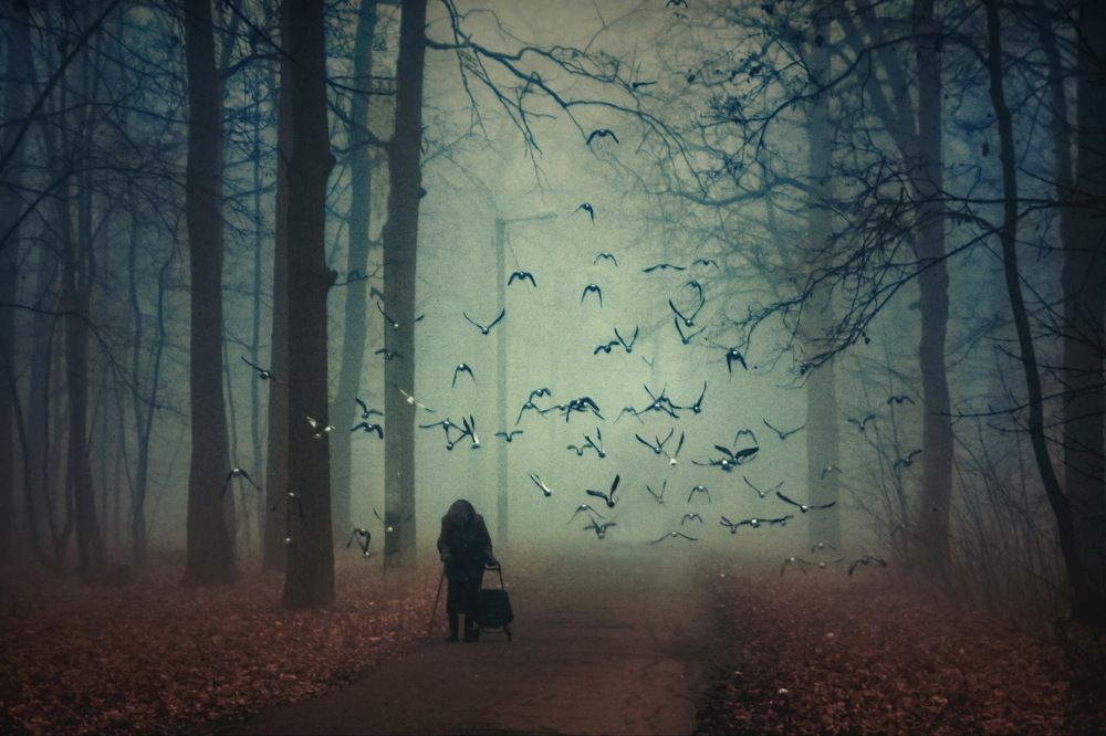 Photograph by Турков Евгений