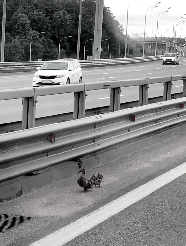 Photograph by Елена Тимченко