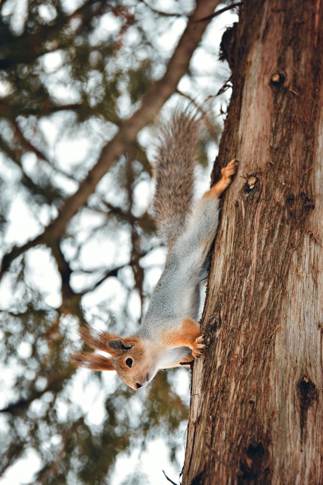 Фотография автора Юлия Носова