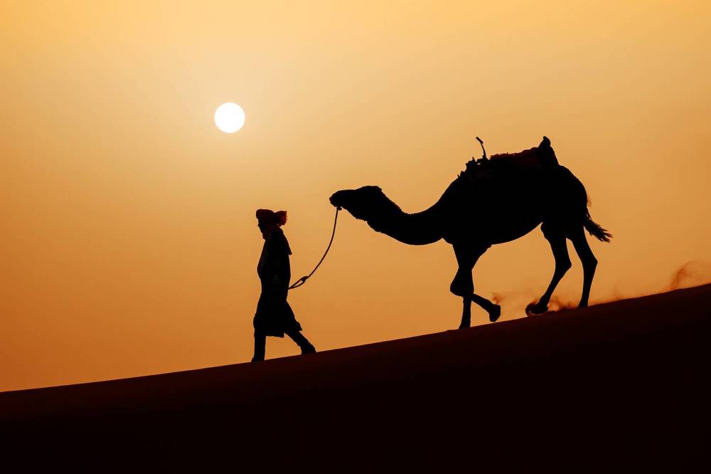 Photograph by Adrian Grigore