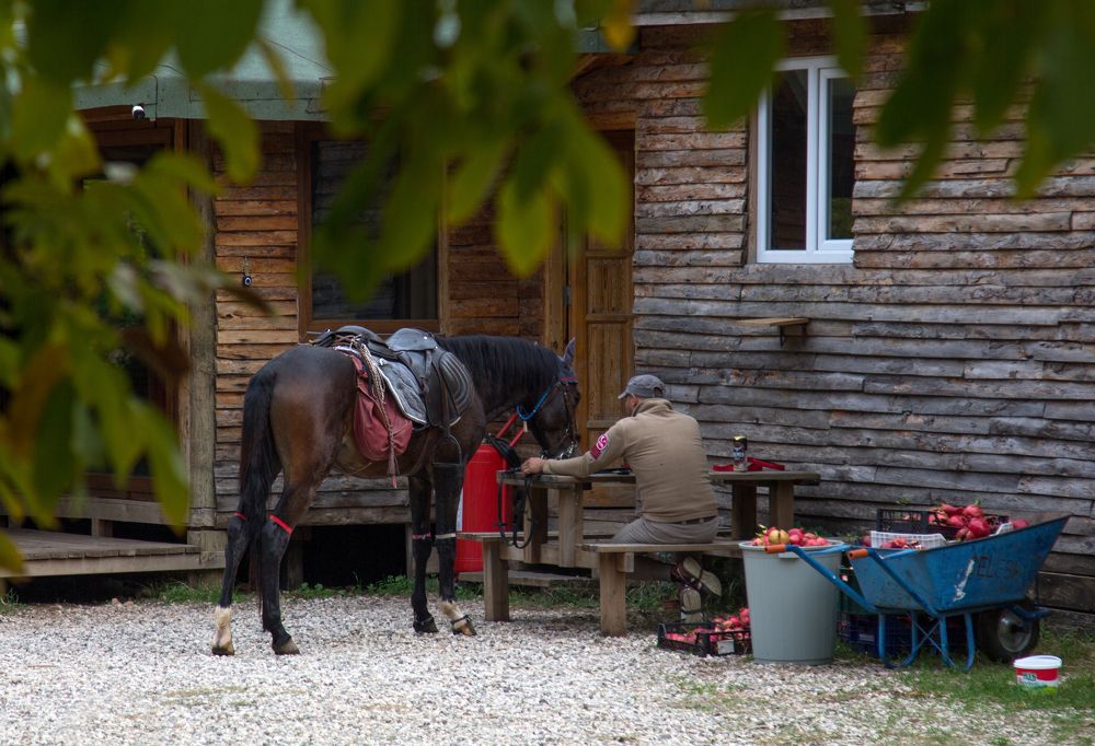 Photograph by Olga Min