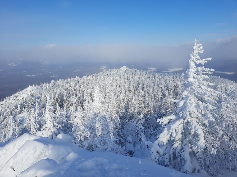 Photograph by Юлия Гинтер