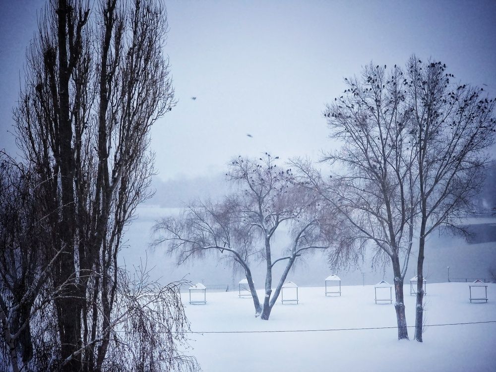 Фотография автора Дана Богинская