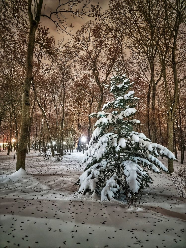 Фотография автора Дана Богинская