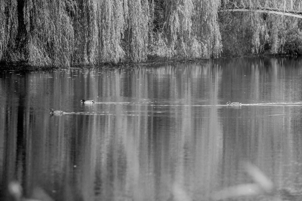 Photograph by Кристина Присакарь