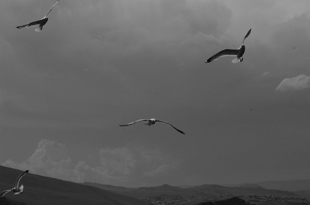 Photograph by Елена Алешкевич