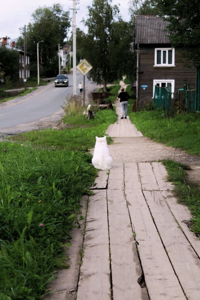 Photograph by Анжелика Авторханова