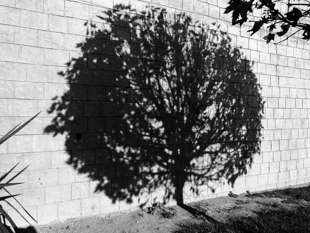 Photograph by Дмитрий Цикин