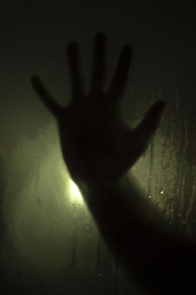 Photograph by Максим Пономарев