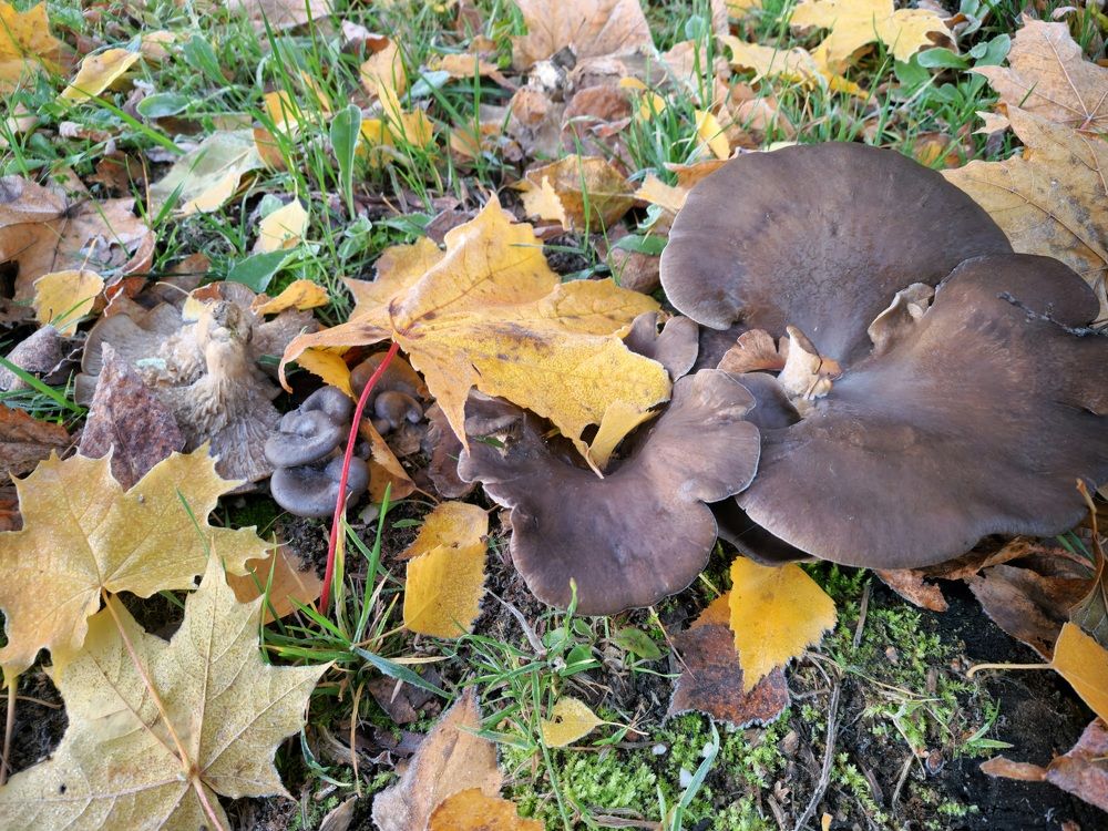 Фотография автора Ольга