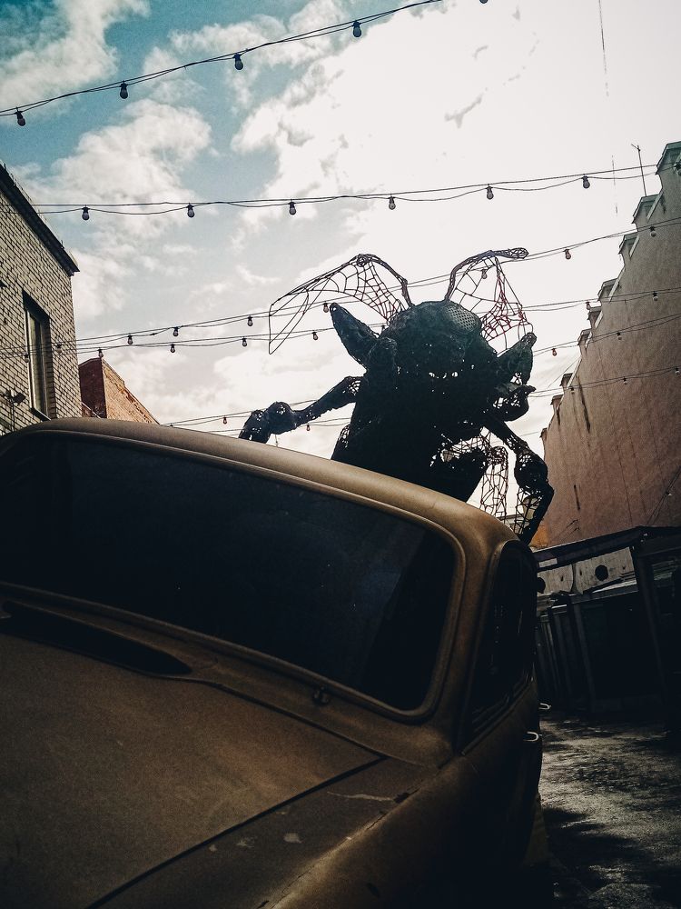 Photograph by Игорь Свет