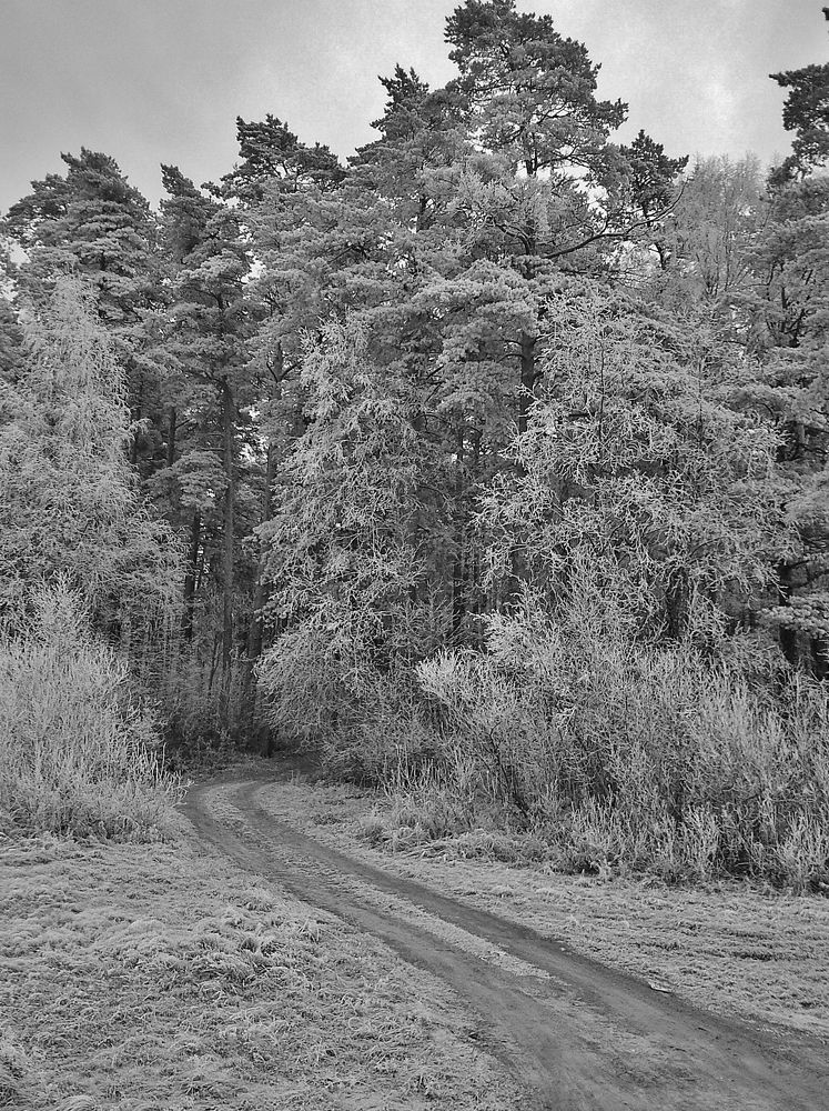 Photograph by Вячеслав Розмин