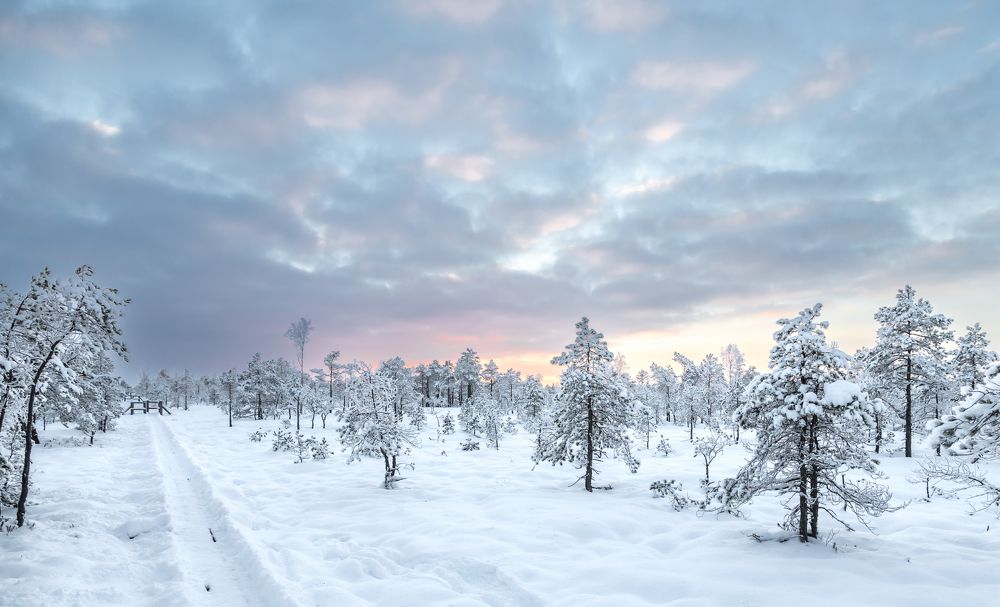 Photograph by Rolandas Valančauskas