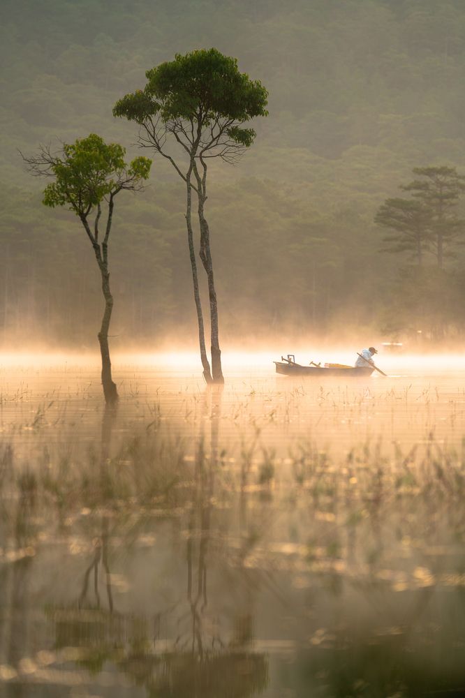 Photograph by Tran Phuong