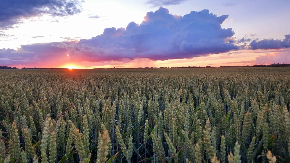 Photograph by Ольга Михайлова