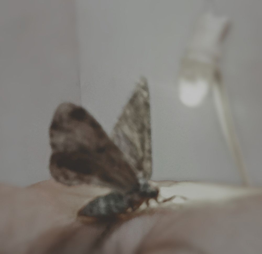 Photograph by LAKSHMI PRIYA R