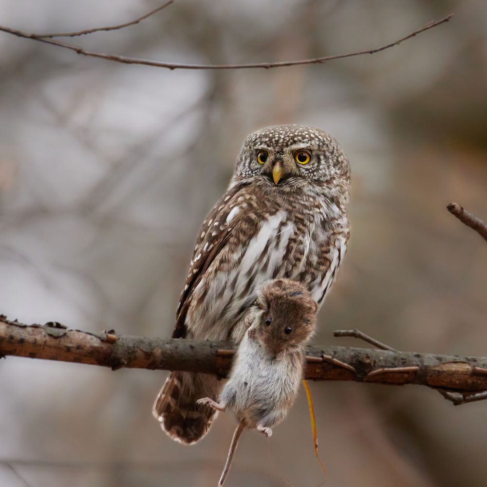 Photograph by Алексей