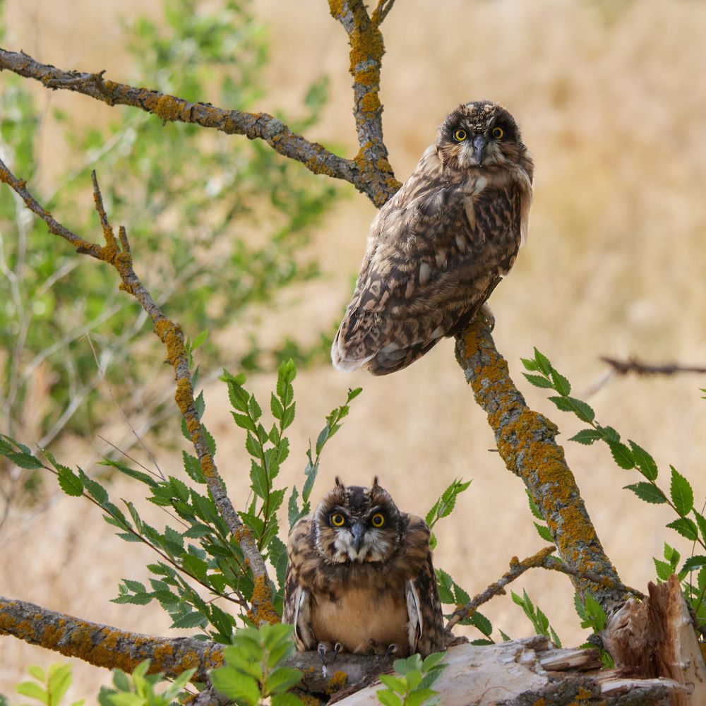 Photograph by Алексей