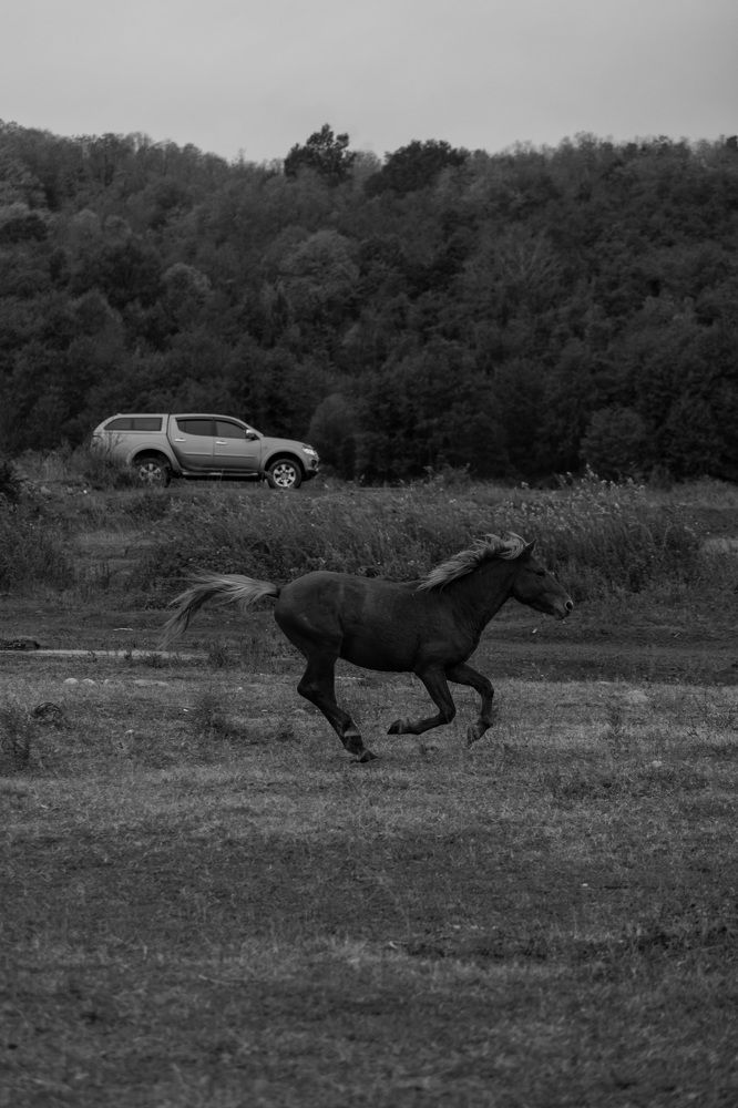 Фотография автора Fallen Angel