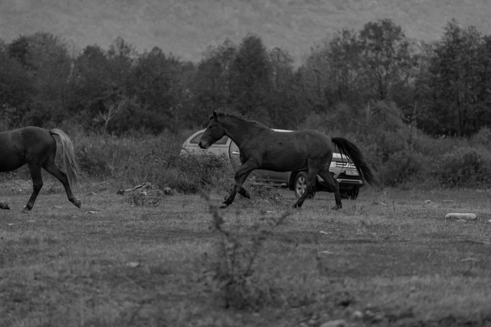 Фотография автора Fallen Angel