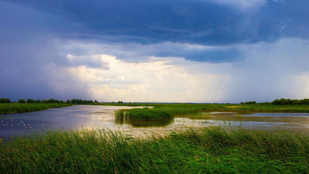 Гроза надвигается