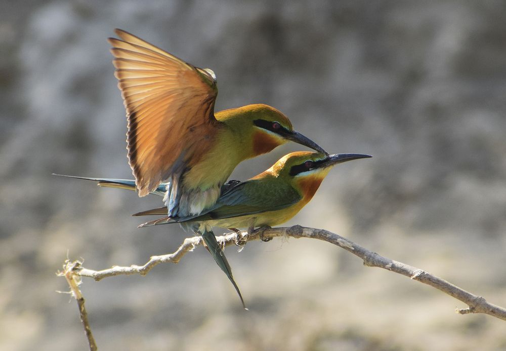 Photograph by ARUNAVA DEY