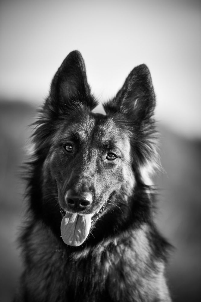 Photograph by Ivan Kotarov