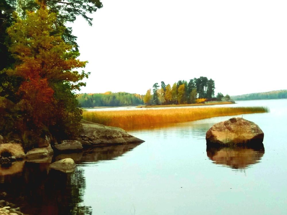 Фотография автора Наталья Бруёк