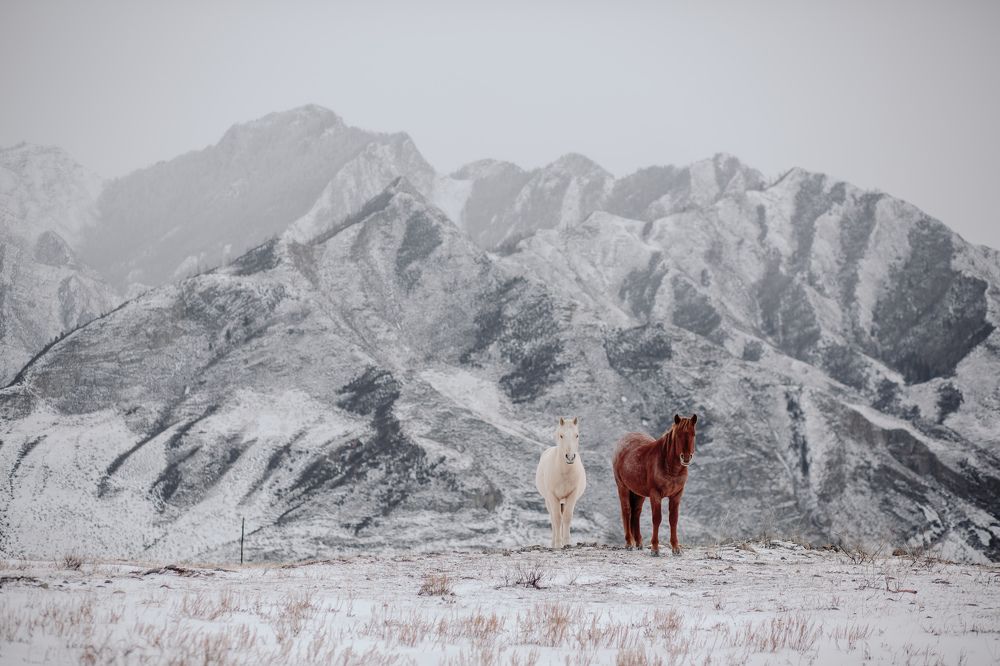 Photograph by Виктор Бабинцев