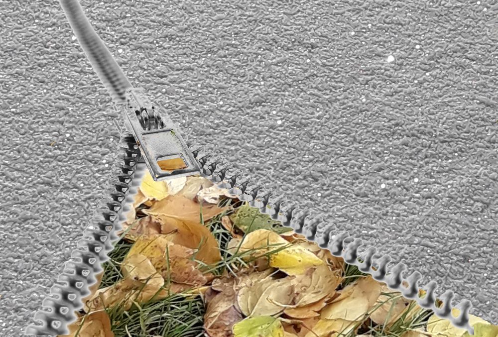 Photograph by Елена Алешкевич